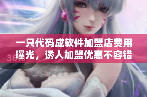 一只代碼成軟件加盟店費(fèi)用曝光，誘人加盟優(yōu)惠不容錯過！