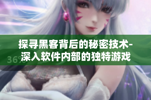 探尋黑客背后的秘密技術(shù)-深入軟件內(nèi)部的獨(dú)特游戲