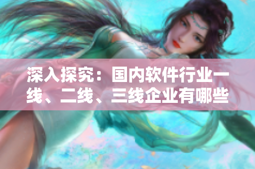 深入探究：國內(nèi)軟件行業(yè)一線、二線、三線企業(yè)有哪些？