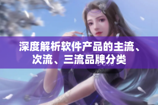 深度解析軟件產(chǎn)品的主流、次流、三流品牌分類
