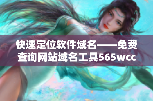 快速定位軟件域名——免費(fèi)查詢網(wǎng)站域名工具565wcc