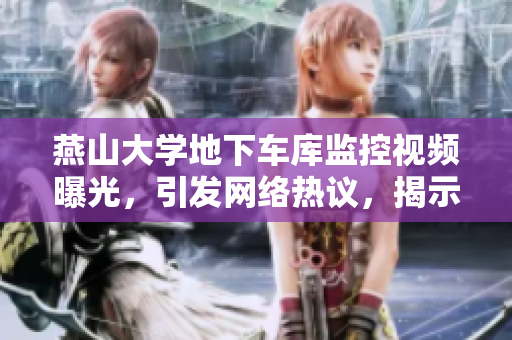 燕山大學(xué)地下車庫監(jiān)控視頻曝光，引發(fā)網(wǎng)絡(luò)熱議，揭示安全隱患需軟件加固