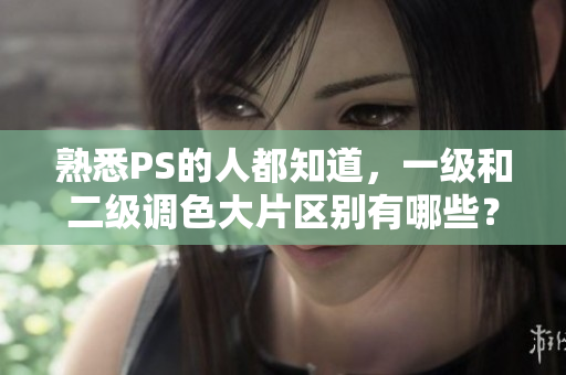 熟悉PS的人都知道，一級(jí)和二級(jí)調(diào)色大片區(qū)別有哪些？