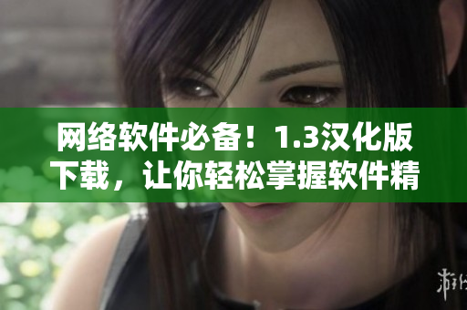 網(wǎng)絡(luò)軟件必備！1.3漢化版下載，讓你輕松掌握軟件精髓！