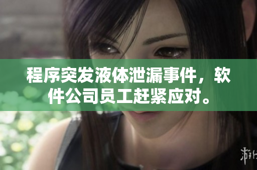 程序突發(fā)液體泄漏事件，軟件公司員工趕緊應(yīng)對(duì)。