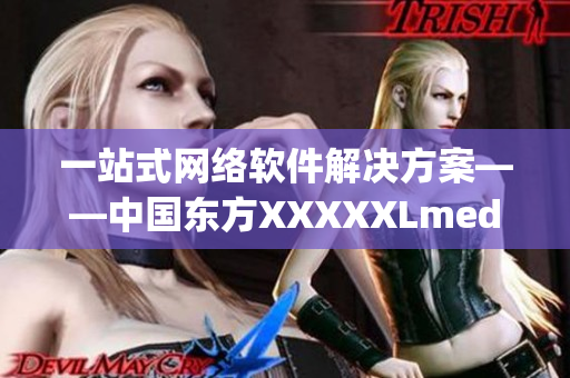 一站式網(wǎng)絡(luò)軟件解決方案——中國東方XXXXXLmedjyf