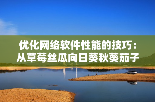優(yōu)化網絡軟件性能的技巧：從草莓絲瓜向日葵秋葵茄子學習