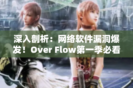 深入剖析：網(wǎng)絡(luò)軟件漏洞爆發(fā)！Over Flow第一季必看！