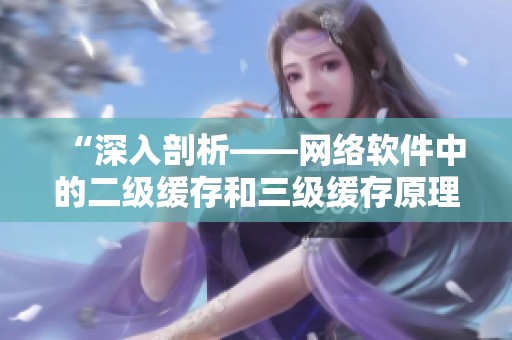 “深入剖析——網(wǎng)絡軟件中的二級緩存和三級緩存原理”