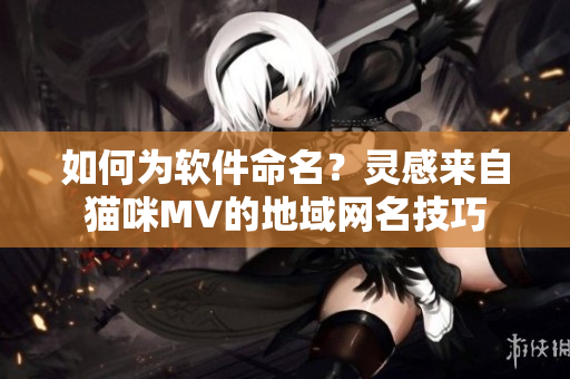 如何為軟件命名？靈感來(lái)自貓咪MV的地域網(wǎng)名技巧