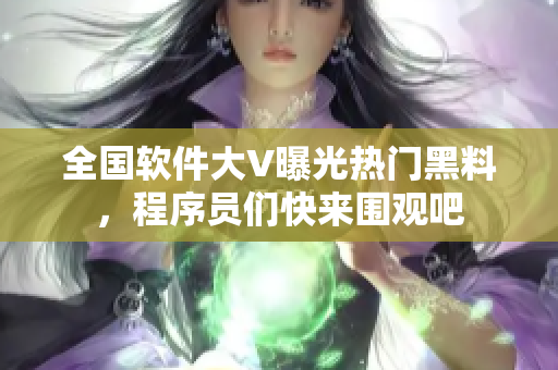 全國(guó)軟件大V曝光熱門黑料，程序員們快來(lái)圍觀吧