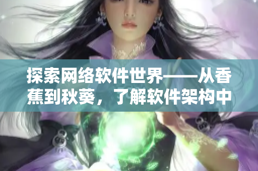 探索網(wǎng)絡(luò)軟件世界——從香蕉到秋葵，了解軟件架構(gòu)中各種組件的重要性