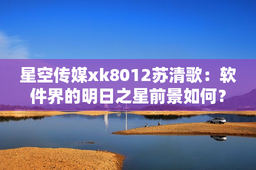 星空傳媒xk8012蘇清歌：軟件界的明日之星前景如何？