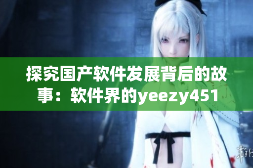 探究國產(chǎn)軟件發(fā)展背后的故事：軟件界的yeezy451
