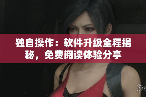獨(dú)自操作：軟件升級(jí)全程揭秘，免費(fèi)閱讀體驗(yàn)分享