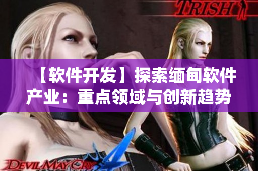 【軟件開(kāi)發(fā)】探索緬甸軟件產(chǎn)業(yè)：重點(diǎn)領(lǐng)域與創(chuàng)新趨勢(shì)