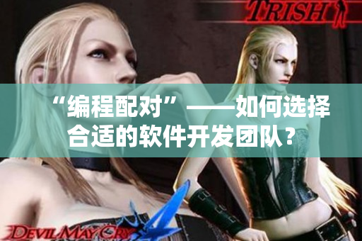 “編程配對(duì)”——如何選擇合適的軟件開(kāi)發(fā)團(tuán)隊(duì)？