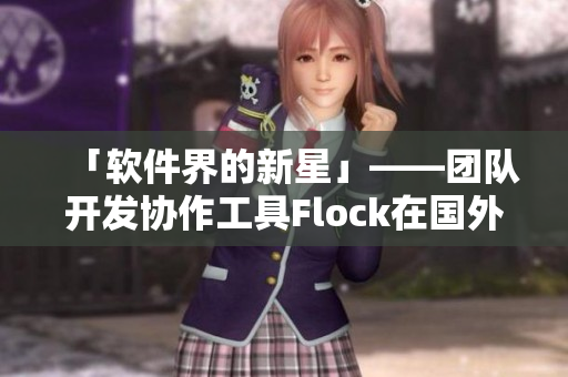 「軟件界的新星」——團(tuán)隊(duì)開發(fā)協(xié)作工具Flock在國外展露鋒芒