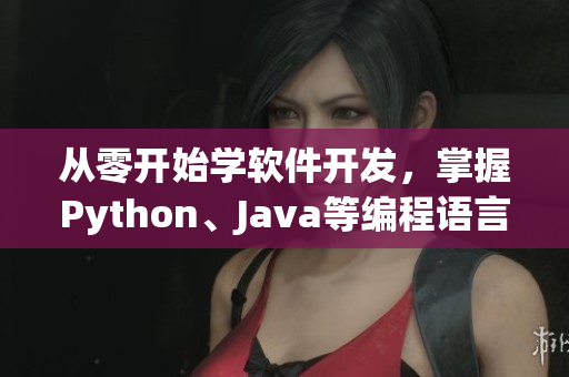 從零開始學(xué)軟件開發(fā)，掌握Python、Java等編程語言