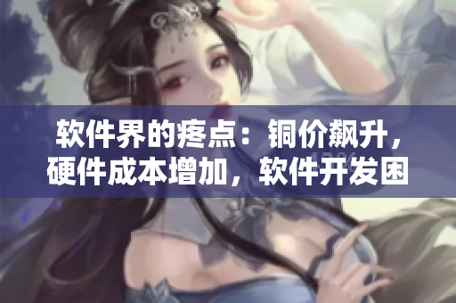 軟件界的疼點(diǎn)：銅價(jià)飆升，硬件成本增加，軟件開發(fā)困境