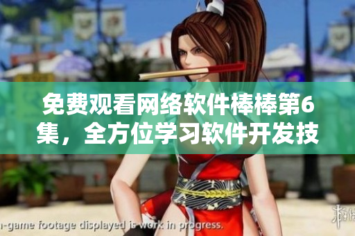 免費觀看網(wǎng)絡(luò)軟件棒棒第6集，全方位學習軟件開發(fā)技巧！