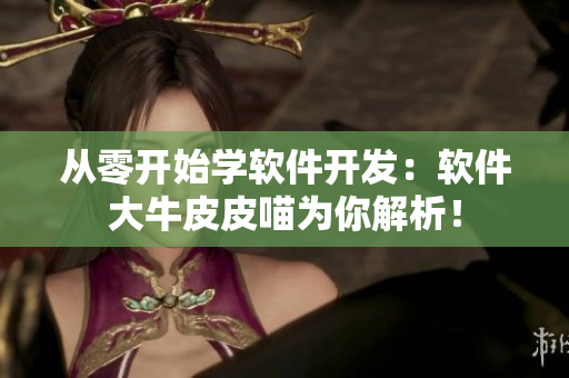 從零開始學(xué)軟件開發(fā)：軟件大牛皮皮喵為你解析！