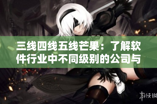 三線四線五線芒果：了解軟件行業(yè)中不同級(jí)別的公司與項(xiàng)目。