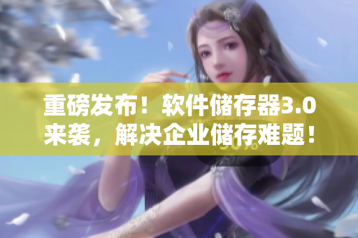 重磅發(fā)布！軟件儲存器3.0來襲，解決企業(yè)儲存難題！