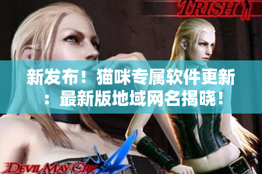 新發(fā)布！貓咪專屬軟件更新：最新版地域網(wǎng)名揭曉！
