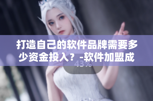 打造自己的軟件品牌需要多少資金投入？-軟件加盟成本分析