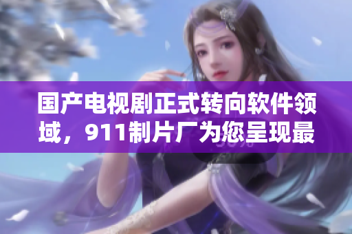 國產(chǎn)電視劇正式轉(zhuǎn)向軟件領(lǐng)域，911制片廠為您呈現(xiàn)最新力作！