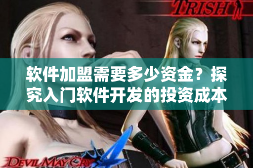 軟件加盟需要多少資金？探究入門軟件開(kāi)發(fā)的投資成本！