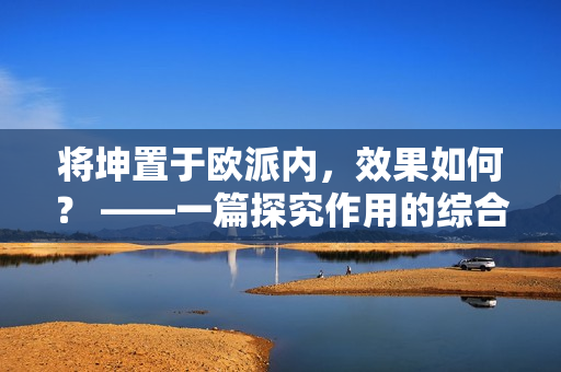 將坤置于歐派內(nèi)，效果如何？ ——一篇探究作用的綜合分析