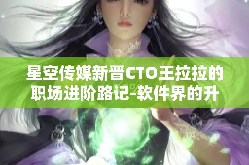 星空傳媒新晉CTO王拉拉的職場(chǎng)進(jìn)階路記-軟件界的升職計(jì)劃