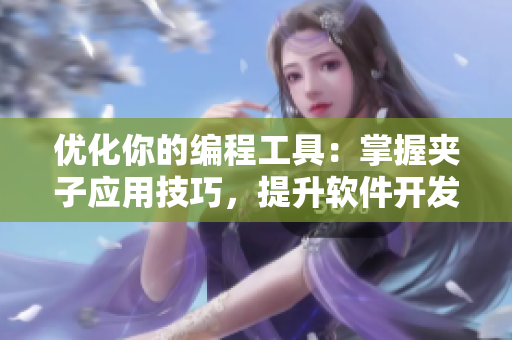 優(yōu)化你的編程工具：掌握夾子應(yīng)用技巧，提升軟件開發(fā)效率