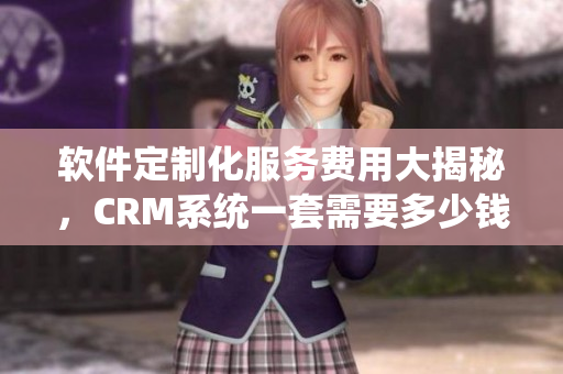 軟件定制化服務(wù)費用大揭秘，CRM系統(tǒng)一套需要多少錢？
