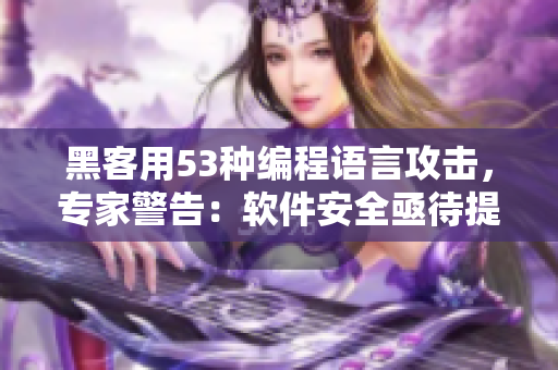黑客用53種編程語言攻擊，專家警告：軟件安全亟待提升