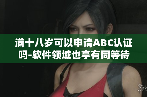 滿十八歲可以申請ABC認證嗎-軟件領域也享有同等待遇
