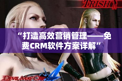 “打造高效營(yíng)銷(xiāo)管理——免費(fèi)CRM軟件方案詳解”