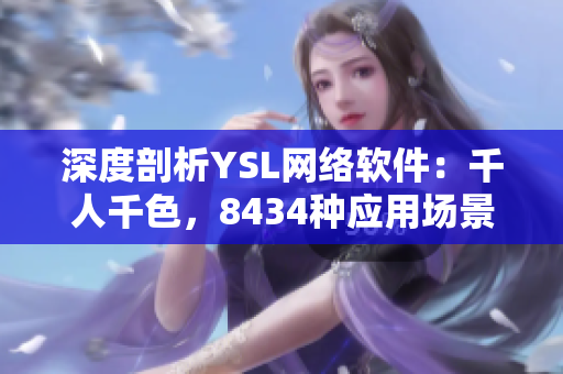 深度剖析YSL網(wǎng)絡(luò)軟件：千人千色，8434種應(yīng)用場(chǎng)景