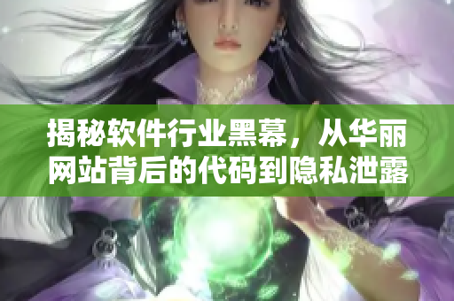 揭秘軟件行業(yè)黑幕，從華麗網(wǎng)站背后的代碼到隱私泄露的真相