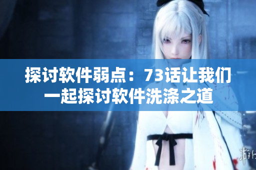 探討軟件弱點(diǎn)：73話讓我們一起探討軟件洗滌之道