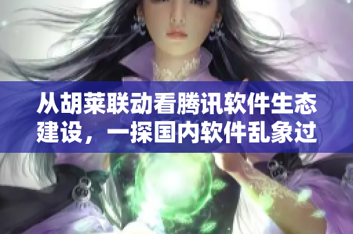 從胡萊聯(lián)動(dòng)看騰訊軟件生態(tài)建設(shè)，一探國(guó)內(nèi)軟件亂象過(guò)往與未來(lái)。