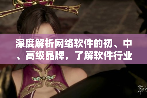 深度解析網(wǎng)絡軟件的初、中、高級品牌，了解軟件行業(yè)發(fā)展趨勢