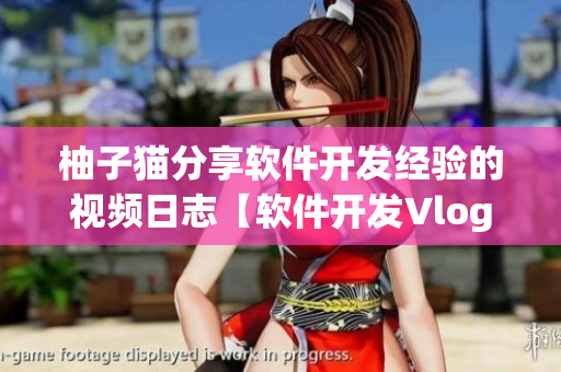 柚子貓分享軟件開發(fā)經(jīng)驗(yàn)的視頻日志【軟件開發(fā)Vlog】
