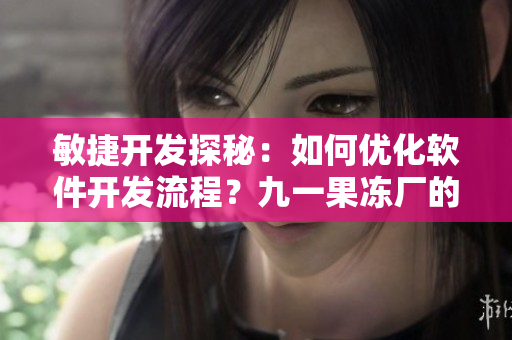 敏捷開發(fā)探秘：如何優(yōu)化軟件開發(fā)流程？九一果凍廠的啟示