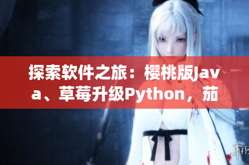 探索軟件之旅：櫻桃版Java、草莓升級Python，茄子iOS皆有貢獻