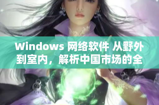 Windows 網(wǎng)絡(luò)軟件 從野外到室內(nèi)，解析中國市場的全貌