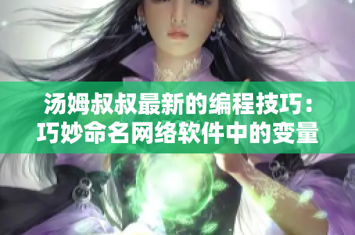 湯姆叔叔最新的編程技巧：巧妙命名網(wǎng)絡(luò)軟件中的變量，函數(shù)和類名