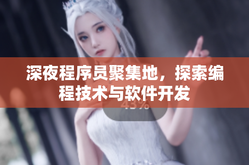 深夜程序員聚集地，探索編程技術(shù)與軟件開發(fā)